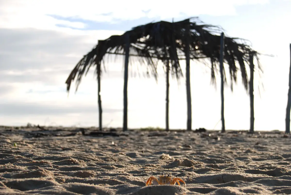 Barracas de palha na areia de Corumbau, com o mar turquesa ao fundo